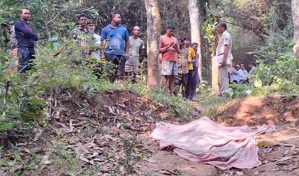 ମାରିଦେଲେ କି ମଦ ମାଫିଆ ?