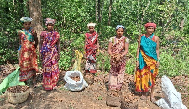 ଶାଳମଞ୍ଜି କ୍ରୟ ପ୍ରାପ୍ୟ ମିଳି ନ ଥିବାରୁ ଜନ ଅସନ୍ତୋଷ