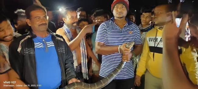 ୧୪ ଫୁଟ ର ଅହିରାଜ ସାପ ଉଦ୍ଧାର