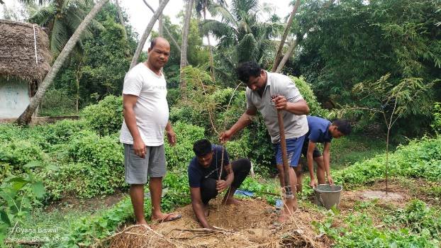 ଅଁଳା ନବମୀରେ ଅଁଳା ବୃକ୍ଷ ରୋପଣ
