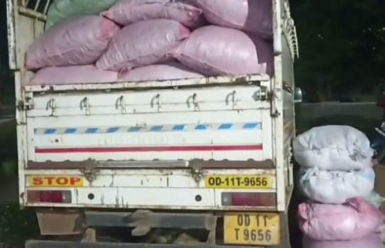 ବେଆଇନ ବାଣ ଗୋଦାମ ଉପରେ ପୋଲିସ ଚଢ଼ାଉ