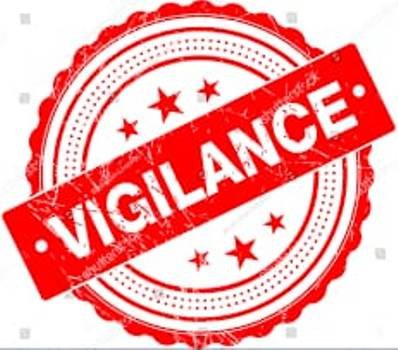 ଭିଜିଲାନ୍ସ ଚଢ଼ଉ