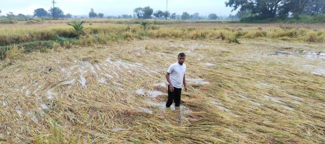 ଚାଷୀ ମୁଣ୍ଡରେ ହାତ