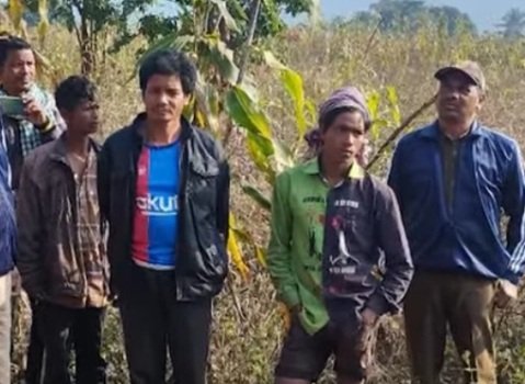 ମୋହନାରେ ବାଘ ଆତଙ୍କ ଭେଳିକି