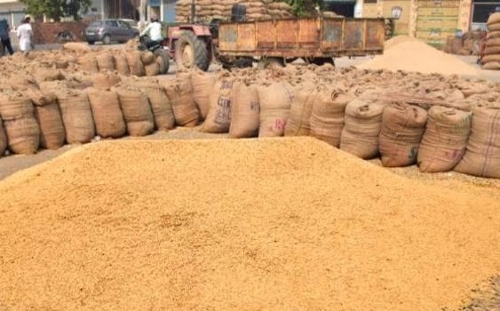 ଗଜପତିରେ କେବେ ଖୋଲିବ ମଣ୍ଡି ?