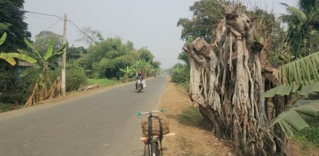 କାନ୍ଦୁଛି ଥୁଣ୍ଟା ବରଗଛ ଧିମେଇଛି ପୂର୍ତ୍ତ ବିଭାଗ ରାସ୍ତା ନିର୍ମାଣ କାର୍ଯ୍ୟ