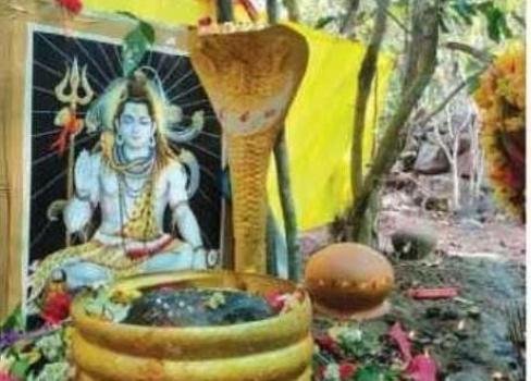 ଜଙ୍ଗଲରୁ ଆବିର୍ଭାବ ହେଲେ ପ୍ରଭୁ କେଦାରନାଥଙ୍କ ଶିବଲିଙ୍ଗ