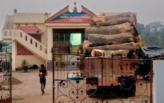 ଗଜପତିରୁ ଆନ୍ଧ୍ରକୁ ଚୋରା କାଠ ଚାଲାଣ ବେଳେ ଟ୍ରକ ସହ କାଠ ଜବତ