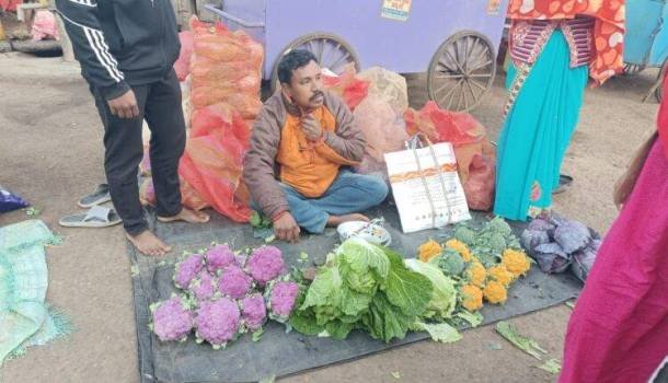 ଆଦିବାସୀ ଚାଷୀଙ୍କ ଭିନ୍ନ ପ୍ରୟାସ ବଜାରରେ ରଙ୍ଗ ବେରଙ୍ଗ ର ଫୁଲ-ବନ୍ଧା କୋବିର ପସରା