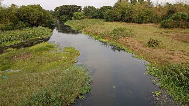 ଅସ୍ତିତ୍ବ ହରାଉଛି ଅତୀତ ର ସୁନାବ୍ୟା ପ୍ରାଚୀ ନଦୀ