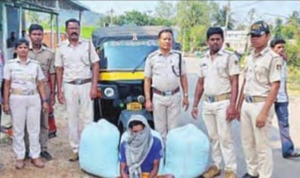 ୧୦ ଲକ୍ଷ ଟଙ୍କାର ଗଞ୍ଜେଇ ଜବତ