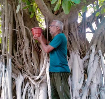 ପଶୁପକ୍ଷୀଙ୍କ ସେବାରେ ସମାଜସେବୀ ପ୍ରତାପ ସାହୁ