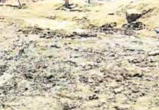 ନାଳ ତିଆରି ହେଉନାହିଁ, ଦୂଷିତ ପାଣି ରାସ୍ତାରେ ପ୍ରବାହିତ ହେଉଛି