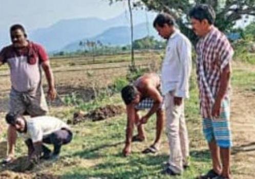 ତାପମାତ୍ର ଓ ପରିବେଶ ସୁରକ୍ଷା ପାଇଁ ଗୁରାଣ୍ଡିରେ ଯୁବଗୋଷ୍ଠୀଙ୍କ ଚାରାରୋପଣ