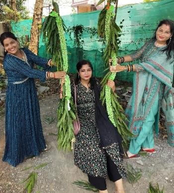 ଆକାଂକ୍ଷା ପକ୍ଷରୁ ରଜ ଉତ୍ସବ ପାଳନରେ ରଜ ଦୋଳି