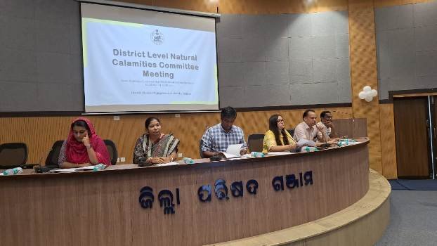 ସ୍ତରୀୟ ପ୍ରାକୃତିକ ବିପର୍ଯ୍ୟୟ କମିଟି ବୈଠକ
