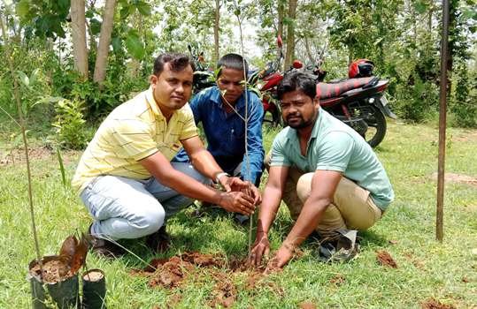 "ଟ୍ରି ଫାଉଣ୍ଡେସନ" ଦ୍ଵାରା ବନ ମହୋତ୍ସବ ସପ୍ତାହ ପାଳନ