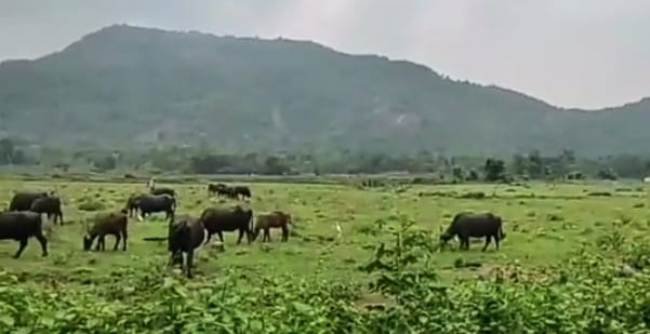 ପରିତ୍ୟକ୍ତ ଅବସ୍ଥାରେ ରହିଥିବା ଜଳସେଚନ ଉପଯୋଗୀ “ରଙ୍ଗବନ୍ଧ”ର ଉଦ୍ଧାର ଓ ଉନ୍ନତିକରଣ ପାଇଁ ଗ୍ରାମବାସୀଙ୍କ ଦାବୀ