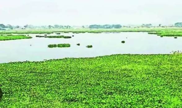 କୃଷ୍ଣ ଶାଗର ବହୁ ପୁରାତନ ଜଳାଶୟ ଚାଷ ଜମିକୁ ବର୍ଷସାରା ଜଳସେଚନ ସୁବିଧା ଦେଇପାରୁନାହିଁ