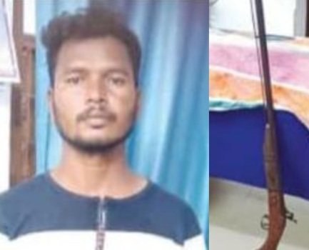 ମାମୁକୁ ଆକ୍ରମଣ ଘଟଣାରେ ଦେଶୀ ବନ୍ଧୁକ ଜବତ, ଭଣଜା ଗିରଫ