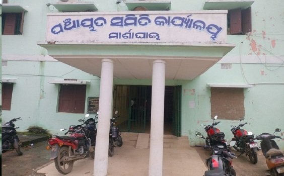 ମାର୍ଶାଘାଇ ବିଡିଓଙ୍କ କାର୍ଯ୍ୟାଳୟ କାନ୍ଥରେ ଓସ୍ତଗଛ
