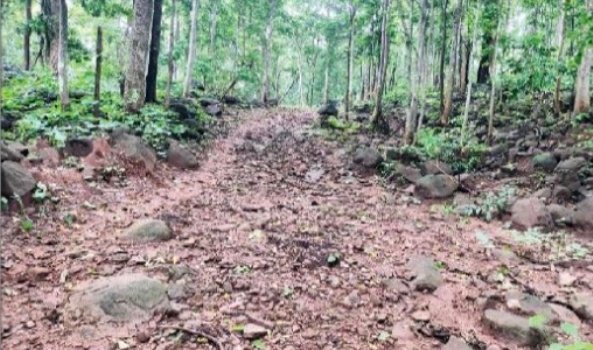 ସ୍ୱାଧୀନତାର ୭୭ ବର୍ଷ ପରେ ମଧ୍ୟ ବିକାଶ ଠୁ ବହୁ ଦୂରରେ ବାଲମାହା, ଡାମେରୀ ଗ୍ରାମ