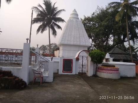 ଦାରୁଠେଙ୍ଗ ଠାରେ ନବାନ୍ନ ଅନୁଷ୍ଠିତ