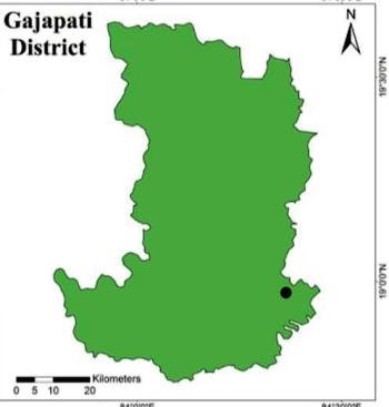 ଶୀତଳ ଭଣ୍ଡାରରେ ଅଟକିଛି ଗଜପତି ମେଡିକାଲ କଲେଜର ପ୍ରସ୍ତାବ