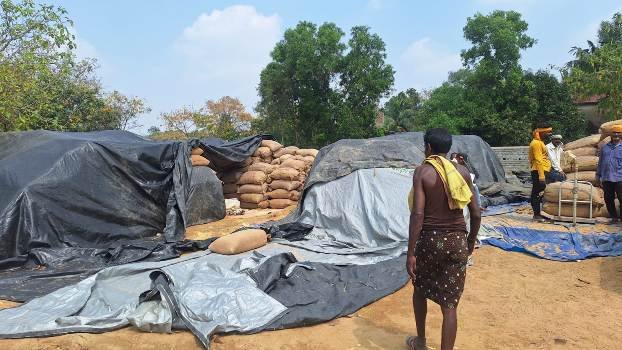 ଆସୁନି ଗାଡି, ମଣ୍ଡିରୁ ଉଠୁନି ଧାନ, ବର୍ଷାରେ ଧାନ ହେଉଛି ଗଜା