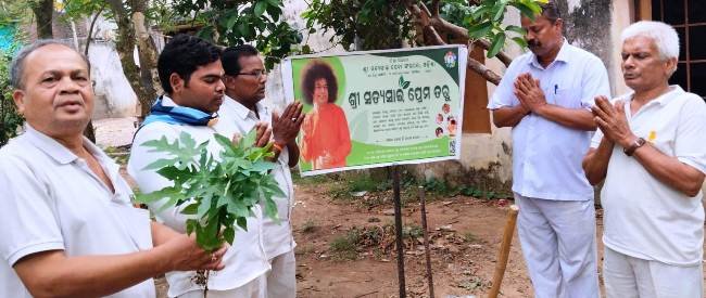 ଶ୍ରୀ ସତ୍ୟସାଇ ପ୍ରେମ ତରୁ ଅବସରରେ ଚାରାଚୋପଣ କାର୍ଯ୍ୟକ୍ରମ