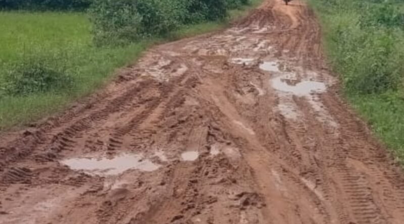 ପୁରୁଣାଭଟା ରାସ୍ତା ଶୋଚନୀୟ ଅବସ୍ଥା: ଯନ୍ତ୍ରଣା ଭୋଗୁଛନ୍ତି ଗ୍ରାମବାସୀ
