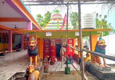 ବୁଢ଼ୀ ଠାକୁରାଣୀ ଯାତ୍ରା ପାଇଁ ପାଟପୁର ଗାଁ ଉତ୍ସବ ମୁଖର