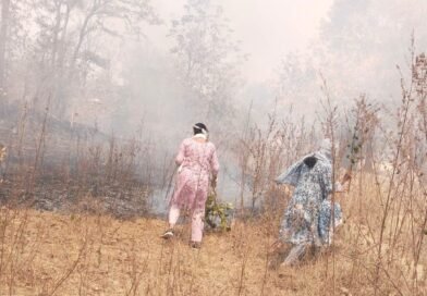 ଜଙ୍ଗଲ ନିଆଁ ଲିଭାଇଲେ ଡିଏଫ୍ଓ ରେଞ୍ଜର