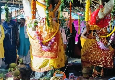 ବଟ ଓ ଅଶ୍ଵସ୍ତ ବୃକ୍ଷ ମଧ୍ୟରେ ବିବାହ ସମ୍ପନ୍ନ