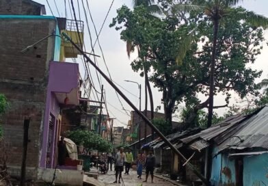 କାଳବୈଶାଖୀ ପ୍ରଭାବରେ ବେଲଗୁଣ୍ଠାରେ ଉପୁଡ଼ିଲା ଗଛ ଓ ବିଦ୍ୟୁତ ଖୁଣ୍ଟ