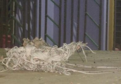 ପୌରାଧ୍ୟକ୍ଷଙ୍କ ଘର ଉପରକୁ ବୋମା ମାଡ଼