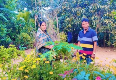 ବୃତ୍ତିରେ ଶିକ୍ଷକ :ନିଶା ବୃକ୍ଷରୋପଣ ସହ ପରିବେଶ ସୁରକ୍ଷା
