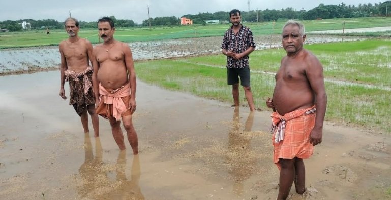 ଲଗାଣ ବର୍ଷାରେ ଧୋଇଗଲା ଧାନ ବିହନ ଗଜା : ବିହନ ଯୋଗାଇବା ପାଇଁ ପ୍ରଶାସନ ନିକଟରେ ଚାଷୀଙ୍କ ଦାବି