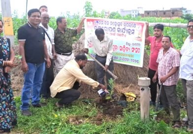 ସାହିତ୍ୟ ସଂସଦ ତରଫରୁ ବୃକ୍ଷ ରୋପଣ