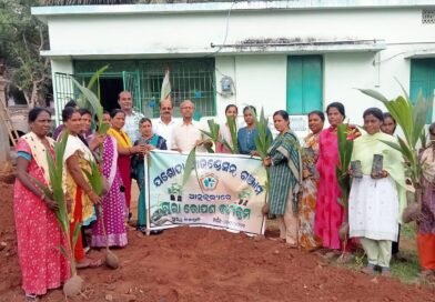 ଯଶୋଦା ଫାଉଣ୍ଡେସନ ପକ୍ଷରୁ ବଡ଼ପୁଟି ଗ୍ରାମ ରେ ବୃକ୍ଷରୋପଣ ଓ ଚାରା ବଣ୍ଟନ